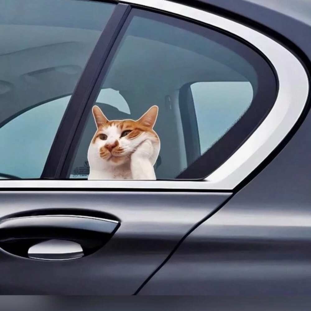 Bored Cat Sticker – Facepalm Feline Mood Vinyl Decal